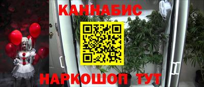 крисы Кунгур