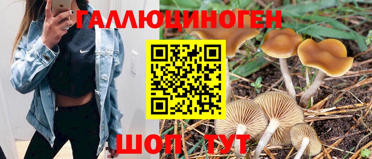 где купить наркоту  Псилоцибиновые грибы мицелий  Вход с VPN  Галлюциногенные грибы Magic Shrooms  Кировск 