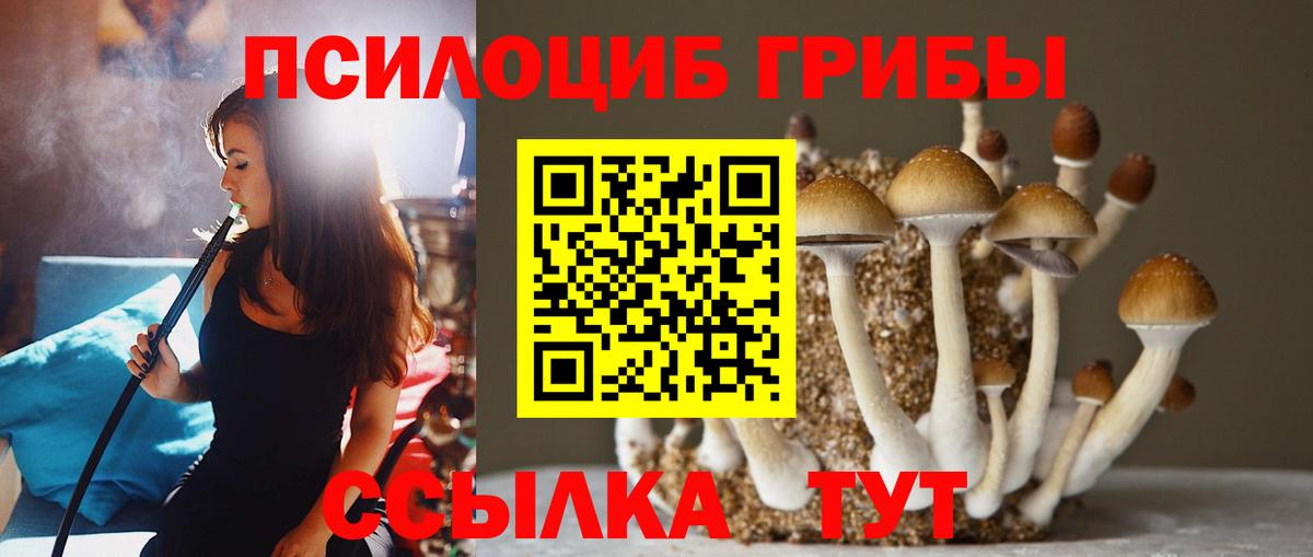 Псилоцибиновые грибы мицелий Кировск